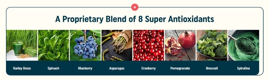 A Proprietary Blend of 8 Super Antioxidants